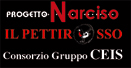 Dal Territorio: Progetto Narciso, Il Pettirosso di Bologna organizza “Angoli di piacere nella notte della salute…”