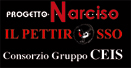 ilpettirosso.jpg