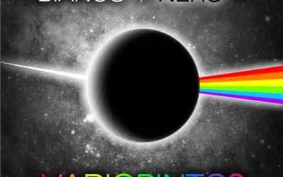 Progetto “Bianco + Nero = Variopinto?” Interpretato da attori giovanissimi del Centro Trentino di Solidarietà onlus