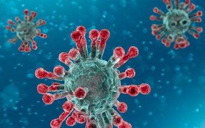 SUL CORONAVIRUS: QUALCHE ALTRA RIFLESSIONE. Come si dice in fisica, ogni azione genere una reazione. di Andrea Castiglione Humani